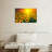 Alvord Sunset With Sunflowers-107502716