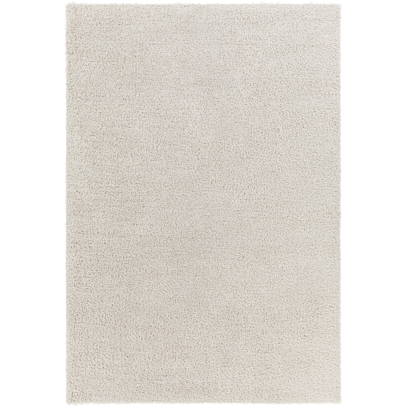  Basics by Wayfair™ Solid Shag Area Rug, Rectangle 6'7" x 9'