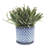 Modern Textured Ceramic Planter with Saucer-1167177242-1167177240