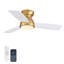 Petit ventilateur de plafond 32 po avec trousse d'éclairage et télécommande-232221012-232221013-207201554