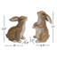 Ensemble de 2 figurines Artilus
