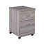 40cm Wide 2 -Drawer Mobile File Cabinet