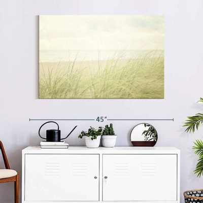 Gillard Beach Grass II