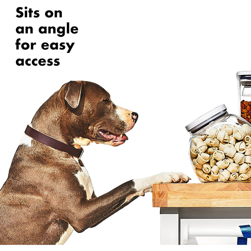 Clear Food Storage Container