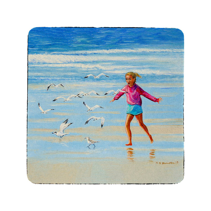 Chassing Coulls Coaster