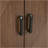 Accent Cabinet