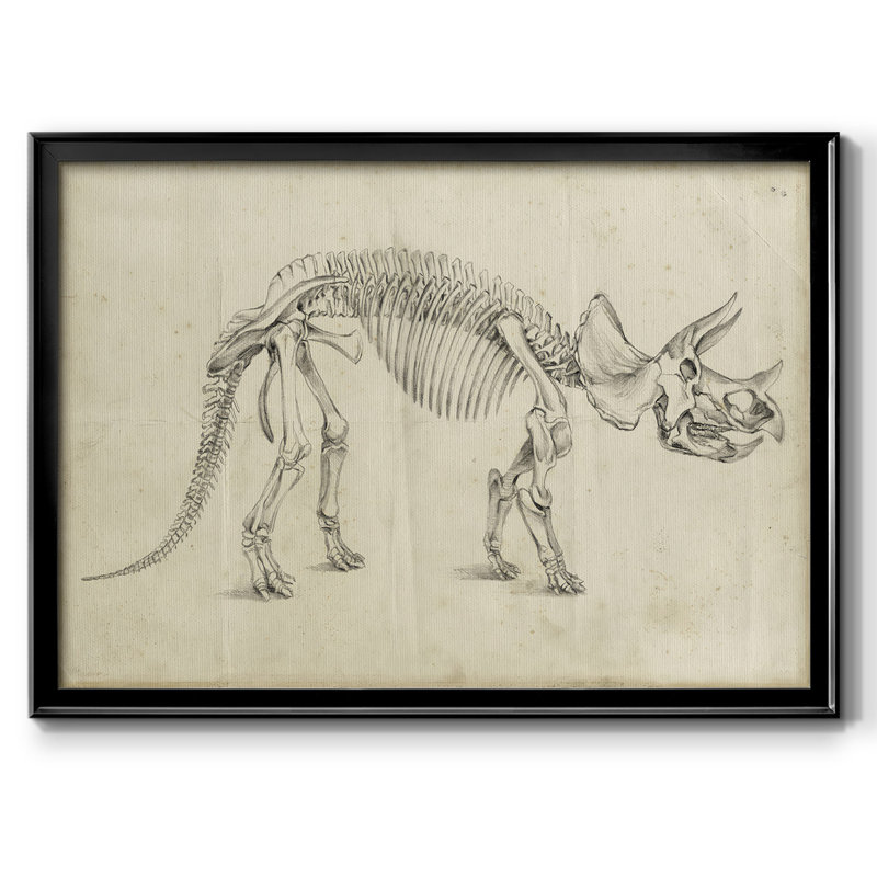 " Dinosaur Study II ", Black, 30" H x 44" W x 1.5" D