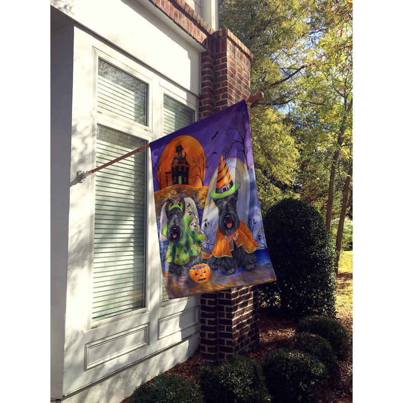 Drapeau de maison Hvidovre Sheltie Halloween en polyester à 2 faces 3 x 2 pi, Scottie maison hantée - Halloween