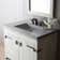 Palomar 36.5" Single Bathroom Vanity Top with Sink