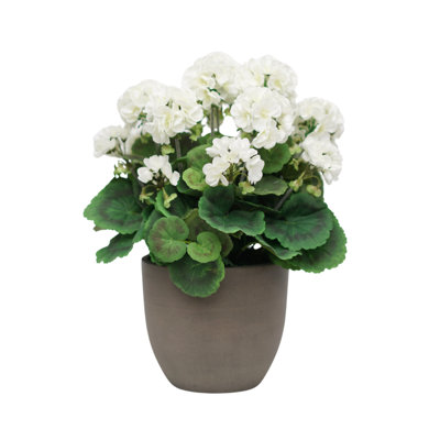 Buisson de géranium 18 po en céramique gris ciment