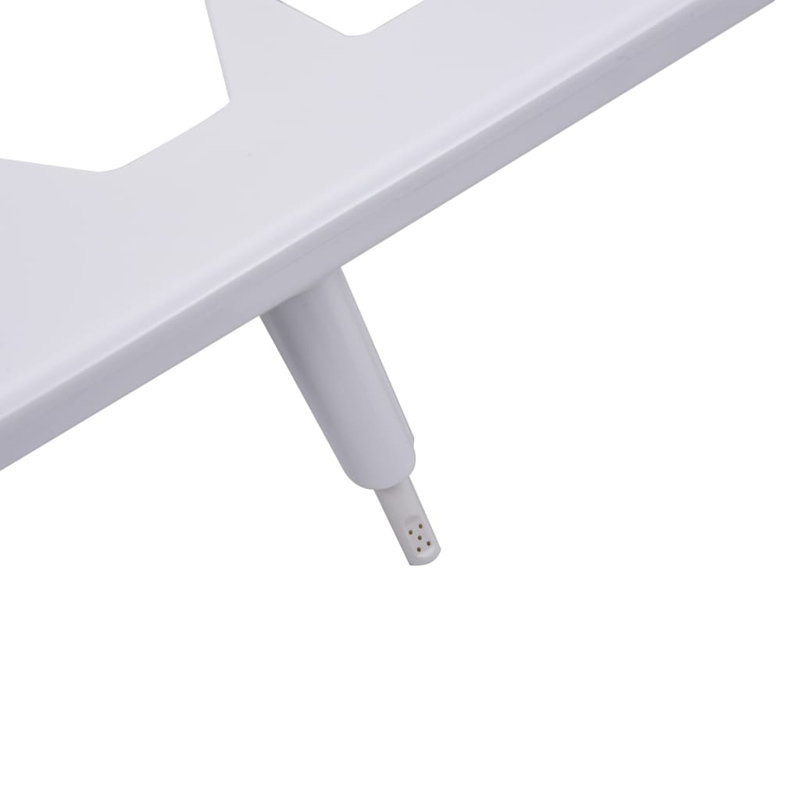 Elongated Toilet Seat Bidet with Tap