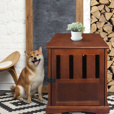 Mendosa Wood Furniture Style Crate with 1 Door