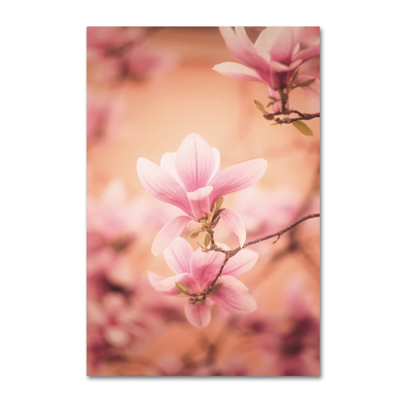 Fadel «Girls of Spring», reproduction de photo sur toile tendue, H 19 po x l 12 po