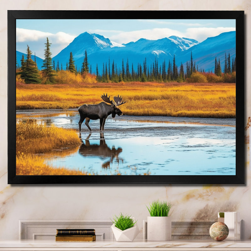 Orignal dans un paysage de l'Alaska II, H 34 po x l 44 po x P 1,5 po, Cadre photo noir