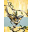Warbler B Painting by Leftbank Art-25704733-25704739