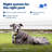 PetSafe® Wireless Fence Pet Containment System