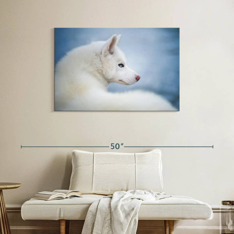 Brampt Pure White Husky