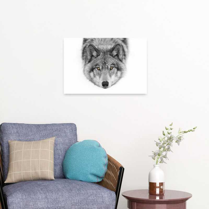 Print, 40.64cm H x 60.96cm W