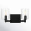 Haines 2 Light Transparent Dimmable Vanity Light-1146103921