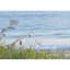 Beautiful Path - No Frame Panoramic Print on Canvas-1948352571