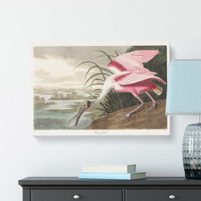 Roseate Spoonbill by John James Audubon - Wrapped Canvas