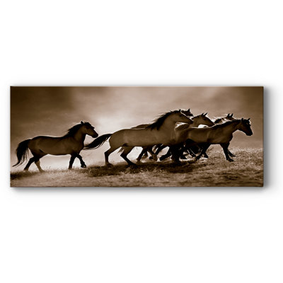" Wild Horses "