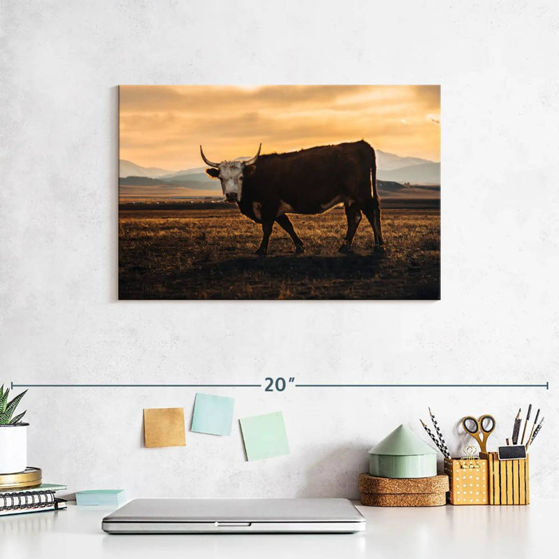 Brampt Looking Bull, 8" H x 12" W