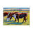 Prairie Lunch by Stacey Neumiller - Gallery-Wrapped Canvas Giclée on Canvas-1165280500-1165280501