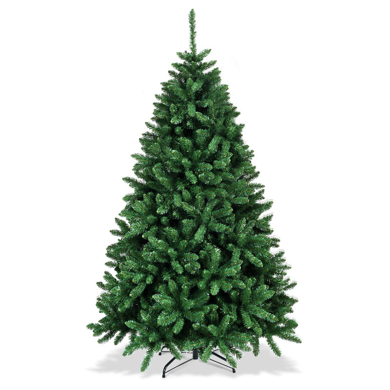 Sapin de Noël vert Douglas, 6 pi
