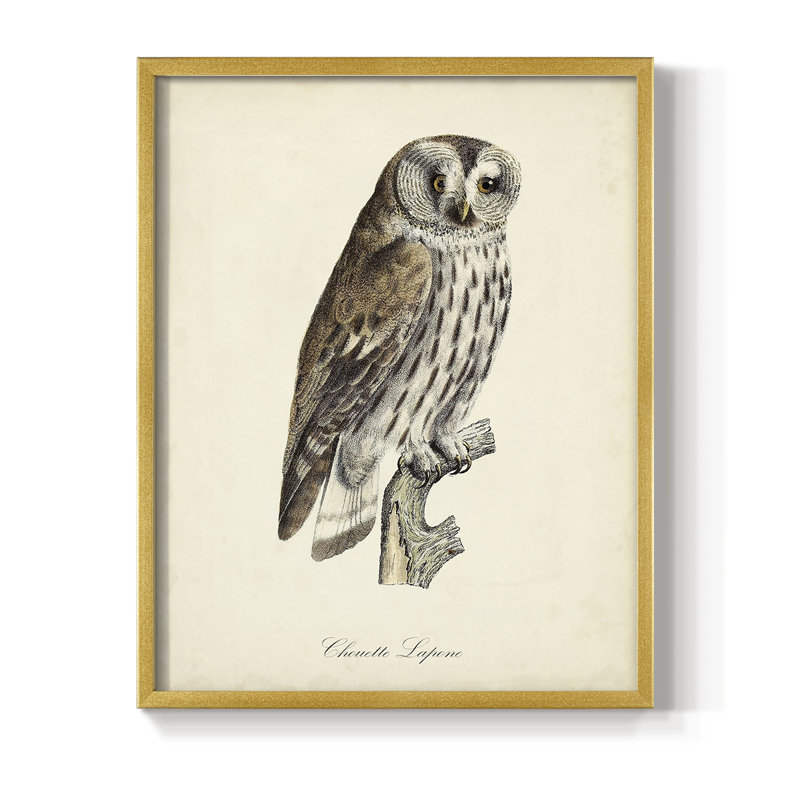 «French Owls III», reproduction encadrée - bois massif, Or, H 20 po x l 16 po