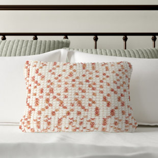 https://assets.wfcdn.com/im/44512633/resize-h310-w310%5Ecompr-r85/2119/211926416/walburn-embroidered-polyester-throw-pillow.jpg