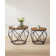 Apison 2 Piece Coffee Table Set