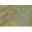 Tapis turc Oushak
