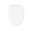 Willow Quiet-Close Elongated Toilet Seat