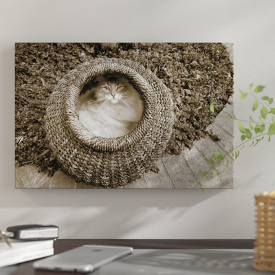 «Cat In A Basket», reproduction de photo sur toile tendue