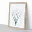 Pale Vanilla Lily Flowers by Pierre-Joseph Redoute - Framed Print-55578303-55578302