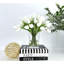 Arrangement de vases hauts 30 tiges ivoire