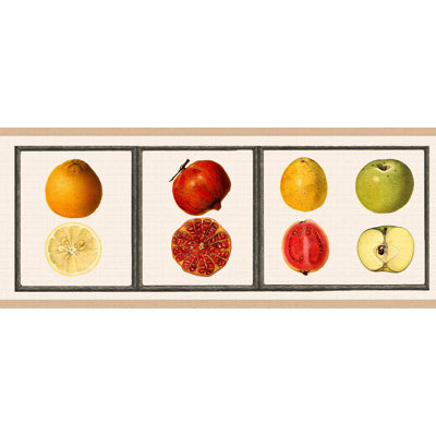Peel & Stick Border