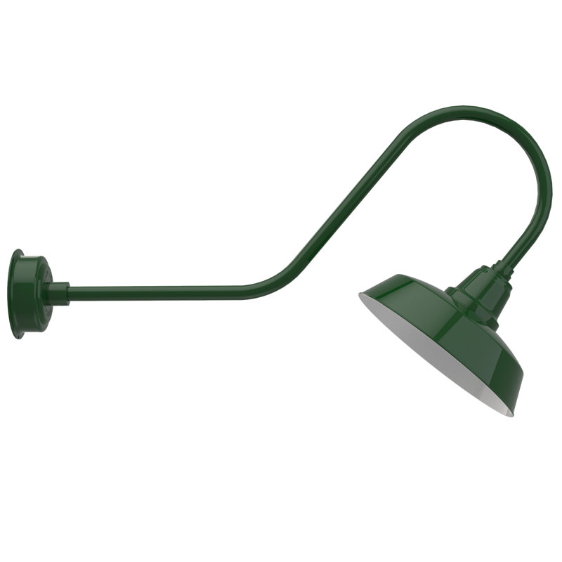 Luminaire de grange d’extérieur à del Vandervliet, H 12 po x l 14 po x P 36 po, Vert rétro