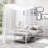 Jasalyn Metal Canopy Bed-17215015-17215018