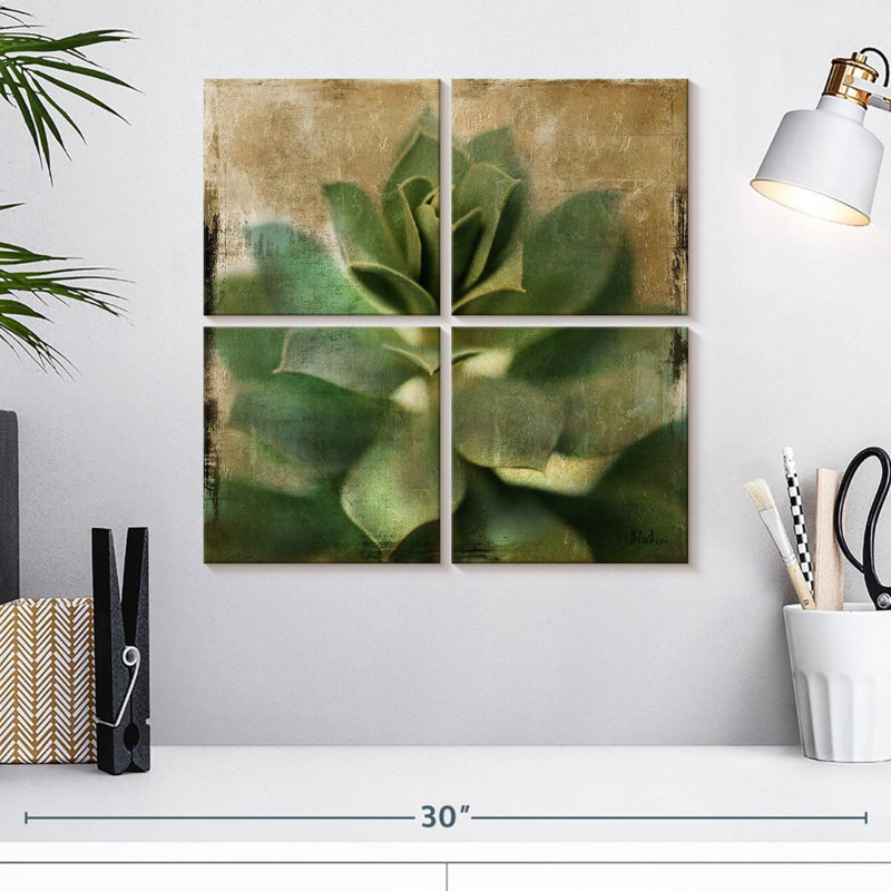 Harnek Succulent I, H 18 po x l 18 po