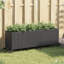 Planter Box-1729856620
