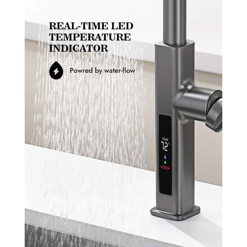 Single Handle Kitchen Faucet with Accessories, Gray