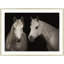 Stable Shadows Print by Lillian August