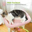 Cat Tree Flower