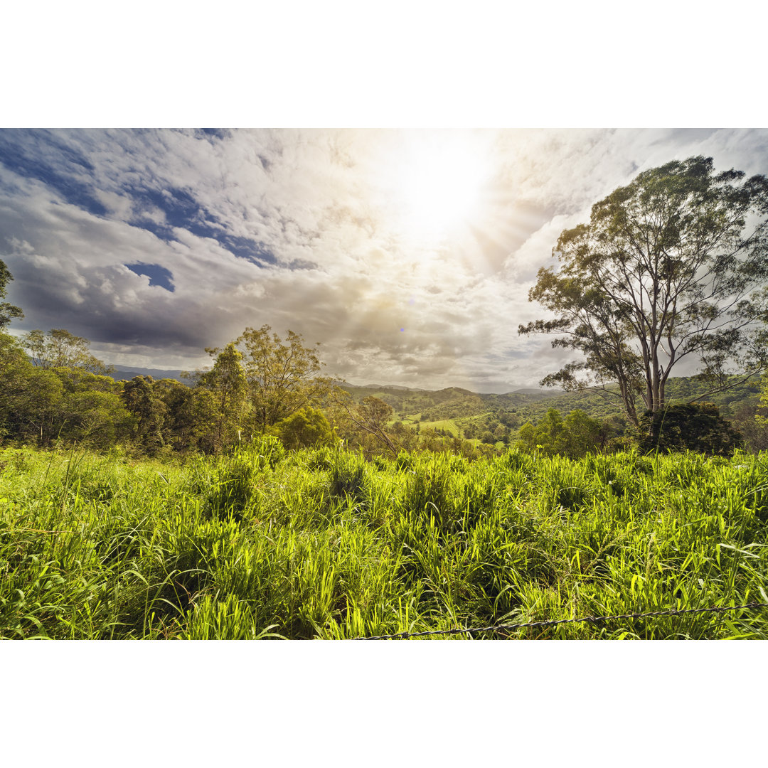 Australian Valley von Quirex - Kunstdrucke auf Leinwand ohne Rahmen