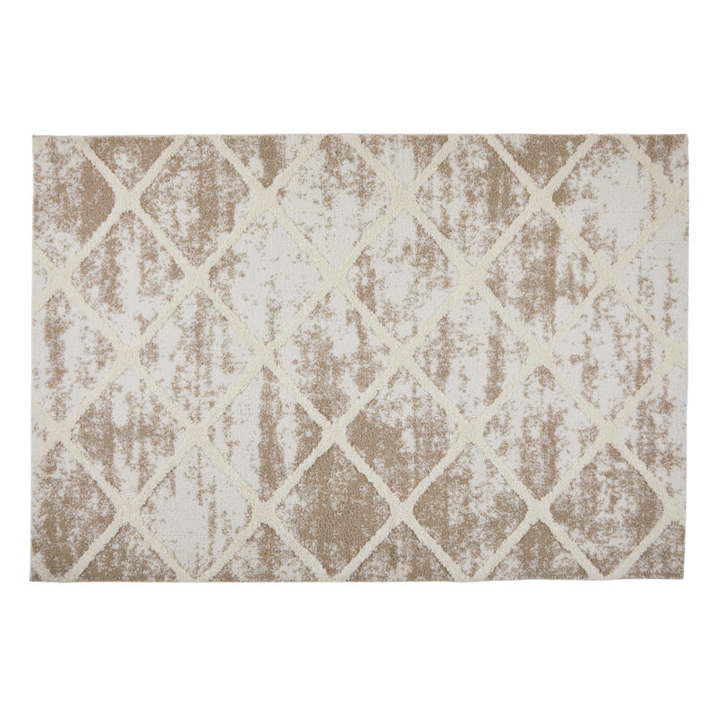 Wilborn Ombre Area Rug, Rectangle 80 x 150cm