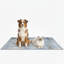  Tapis de lit lavable pour chien / tapis de litière pour chat-121373146-138086401