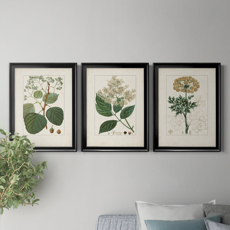 Antique Turpin Botanical IV - Ensemble de 3 peintures sur toile encadrées, H 18,5 po x l 73,5 po x P 1,5 po