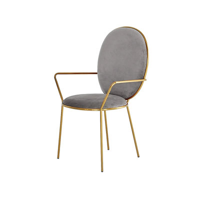 Banmah 47cm H Velvet Upholstered Armchair in Gray